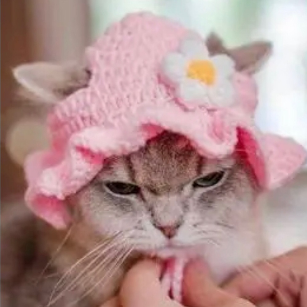 Crochet Knitted Pink Hat for Small Pets (Cat, Dog), Small